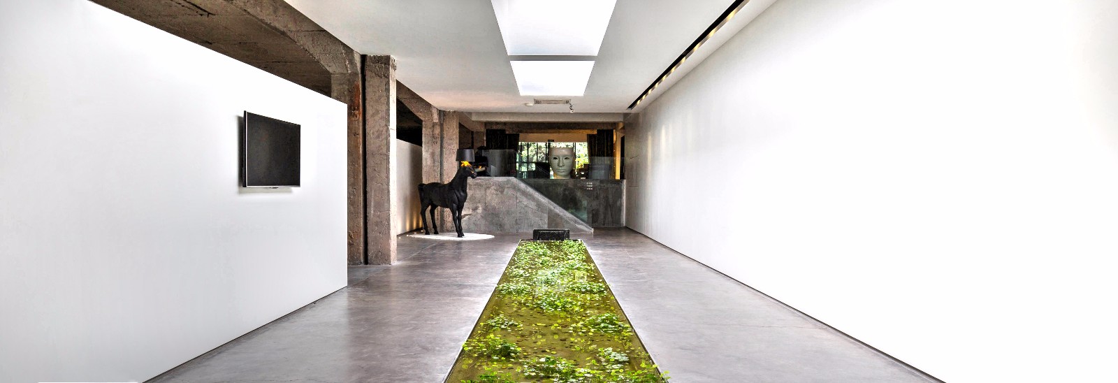 入口水池.jpg 入口水池.jpg