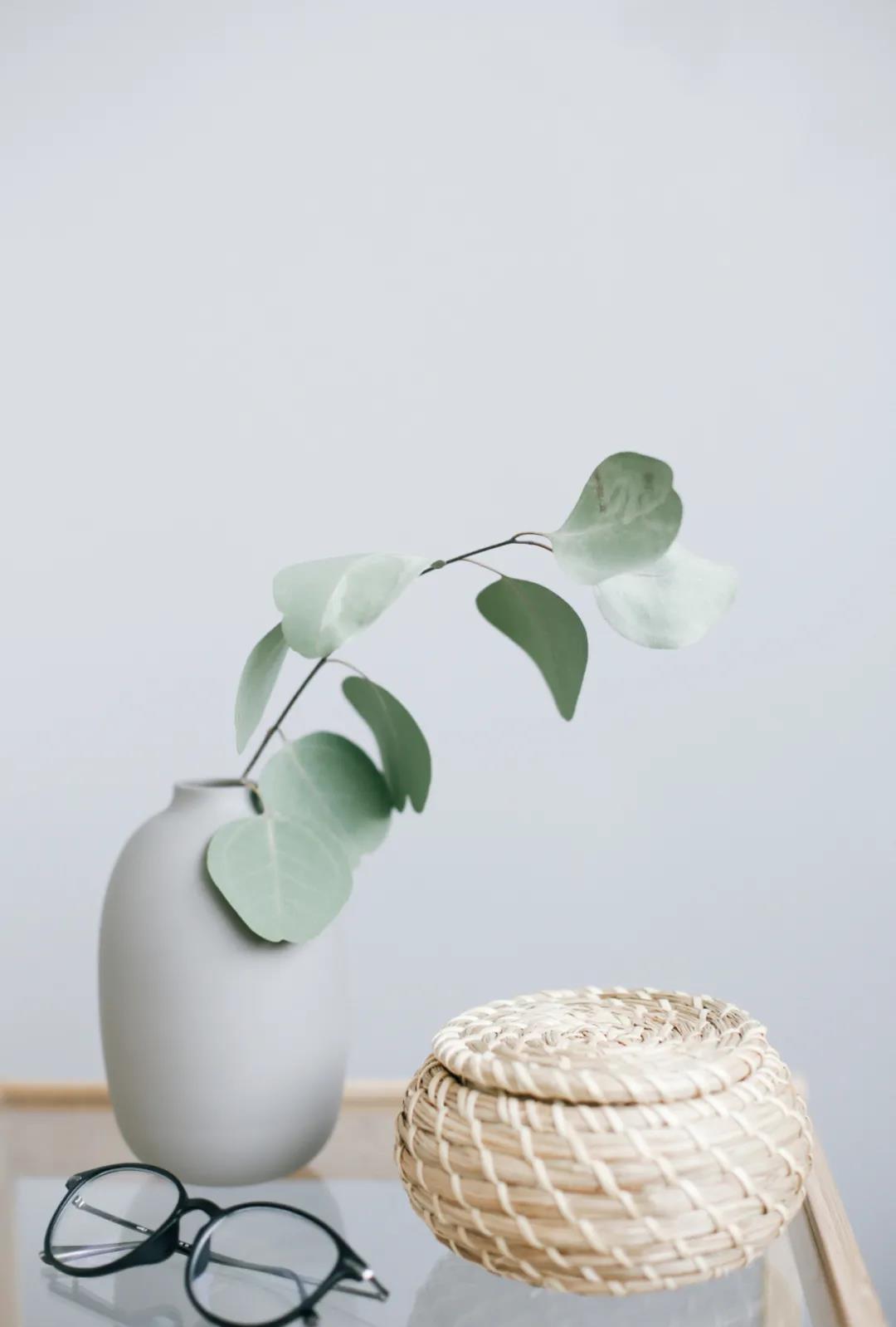 微信圖片_20211206151529.jpg 微信圖片_20211206151529.jpg